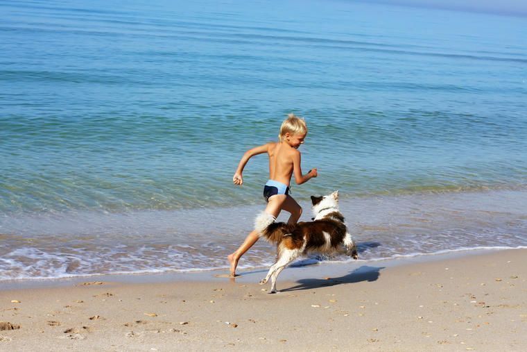 Urlaub mit Hund im Ferienhaus in Medulin