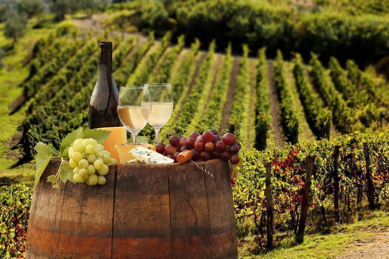 Weingut in der Toskana