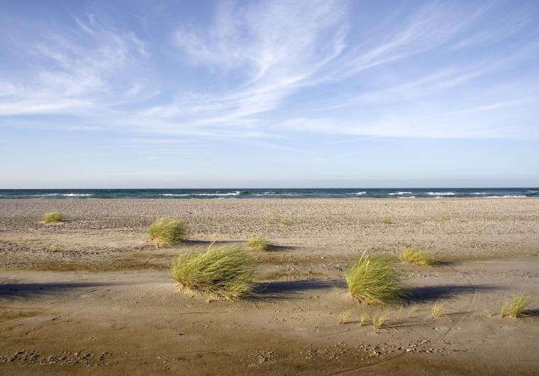 Ferienhaus Djursland - Strand