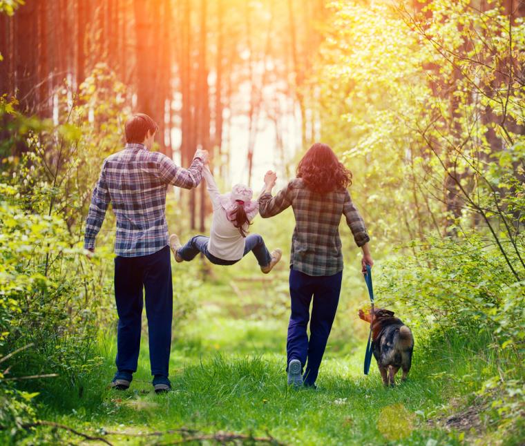 Urlaub mit Hund in Frankreich im Ferienhaus NOVASOL.at