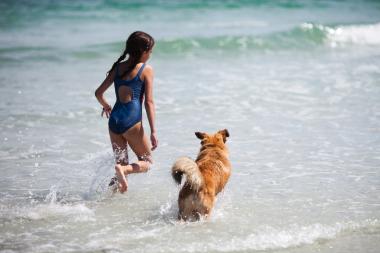 Urlaub mit Hund Urlaub mit Hund in Kroatien
