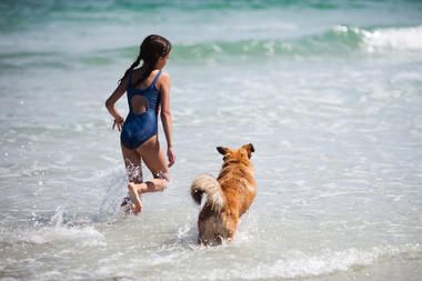 Hundestrände in Kroatien