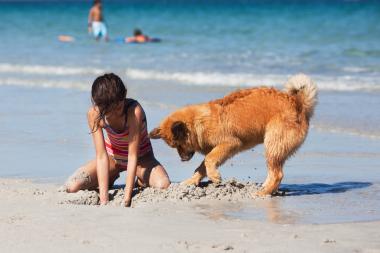 Urlaub mit Hund in Kroatien Urlaub mit Hund in Kroatien