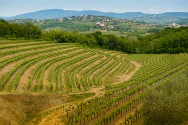 Urlaub in einer Ferienwohnung Abruzzen in der Provinz Teramo