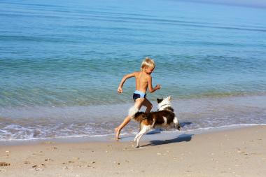 Urlaub mit Hund am Meer in Kroatien
