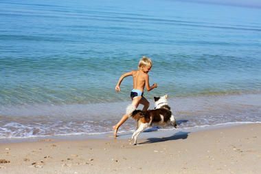 Urlaub mit Hund auf Mallorca