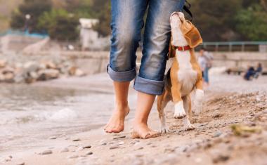 Urlaub mit Hund in Kroatien