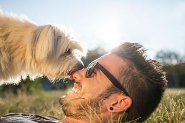 Urlaub mit Hund in Ungarn