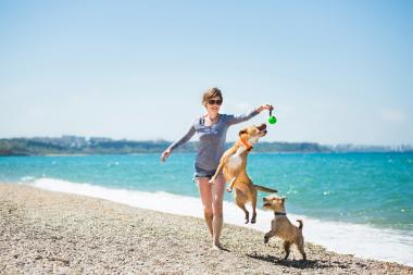 urlaub mit hund in kroatien in karlobag im ferienhaus