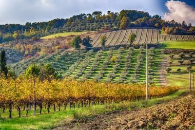 Natur Emilia-Romagna