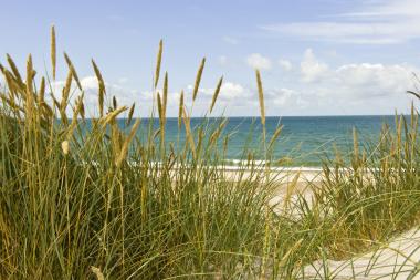 Ferienhäuser Dänemark Strandurlaub im Ferienhaus in Dänemark