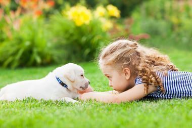 Familienurlaub mit Hund in Ungarn