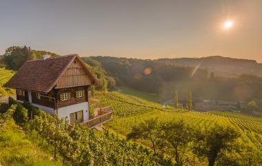 Weinbau im Burgenland