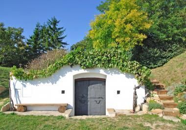 Weinbau im Burgenland